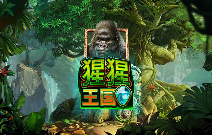 2024奥门正版全年正版资料